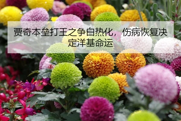 贾奇本垒打王之争白热化，伤病恢复决定洋基命运
