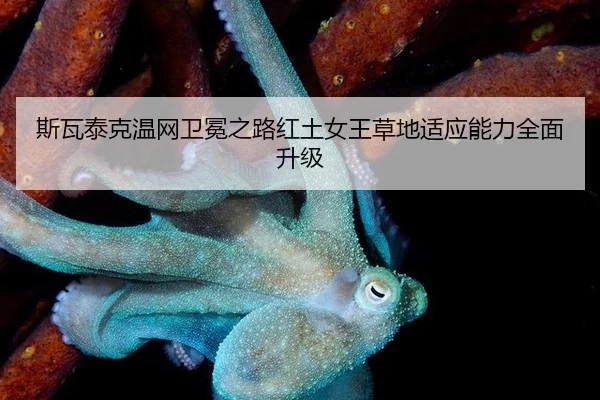 斯瓦泰克温网卫冕之路红土女王草地适应能力全面升级