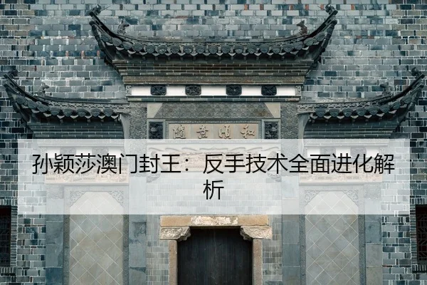 sun-ying-sha-ao-men-feng-wang-fan-shou-ji-shu-quan-mian-jin-hua-jie-xi-2-716.jpg