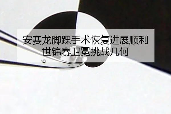 安赛龙脚踝手术恢复进展顺利 世锦赛卫冕挑战几何