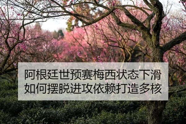 阿根廷世预赛梅西状态下滑 如何摆脱进攻依赖打造多核