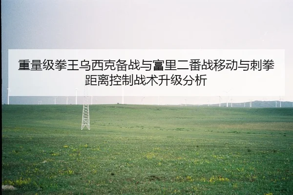 重量级拳王乌西克备战与富里二番战移动与刺拳距离控制战术升级分析