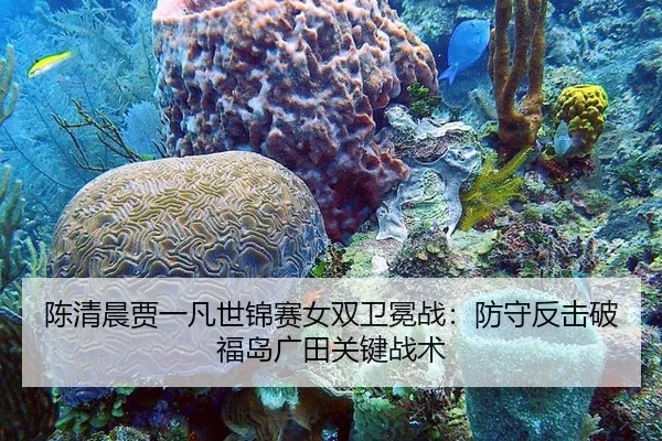 chen-qing-chen-jia-yi-fan-shi-jin-sai-nv-shuang-wei-mian-zhan-fang-shou-fan-ji-po-fu-dao-guang-tian-guan-jian-zhan-shu-2-450.jpg