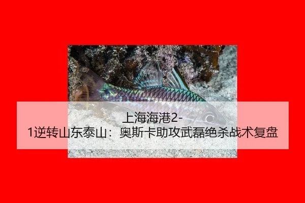 shang-hai-hai-gang-ni-zhuan-shan-dong-tai-shan-ao-si-ka-zhu-gong-wu-lei-jue-sha-zhan-shu-fu-pan-2-209.jpg