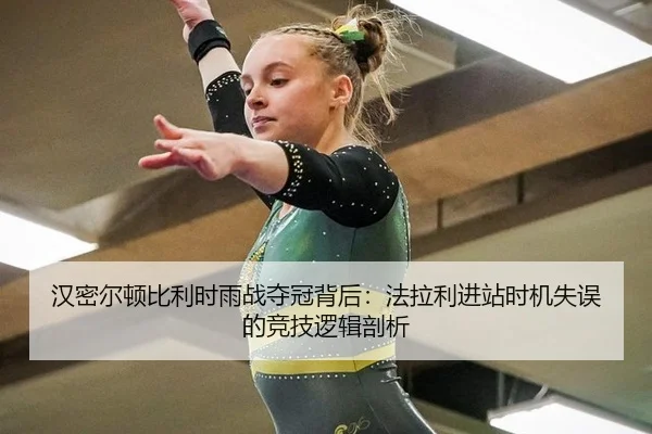 han-mi-er-dun-bi-li-shi-yu-zhan-duo-guan-bei-hou-fa-la-li-jin-zhan-shi-ji-shi-wu-de-jing-ji-luo-ji-pou-xi-2-804.jpg