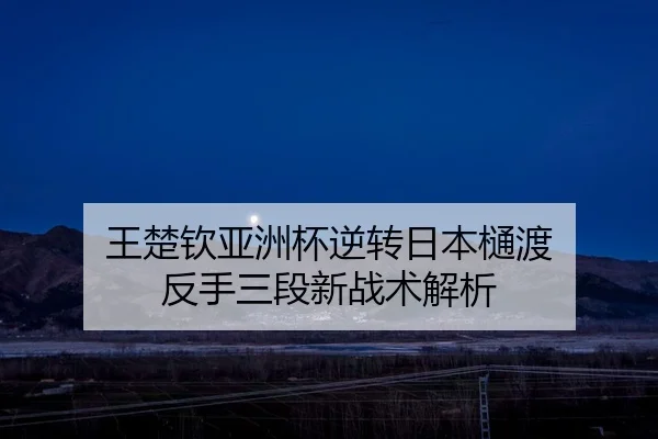 wang-chu-qin-ya-zhou-bei-ni-zhuan-ri-ben-tong-du-fan-shou-san-duan-xin-zhan-shu-jie-xi-2-504.jpg